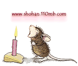 Birthday Photo Picture