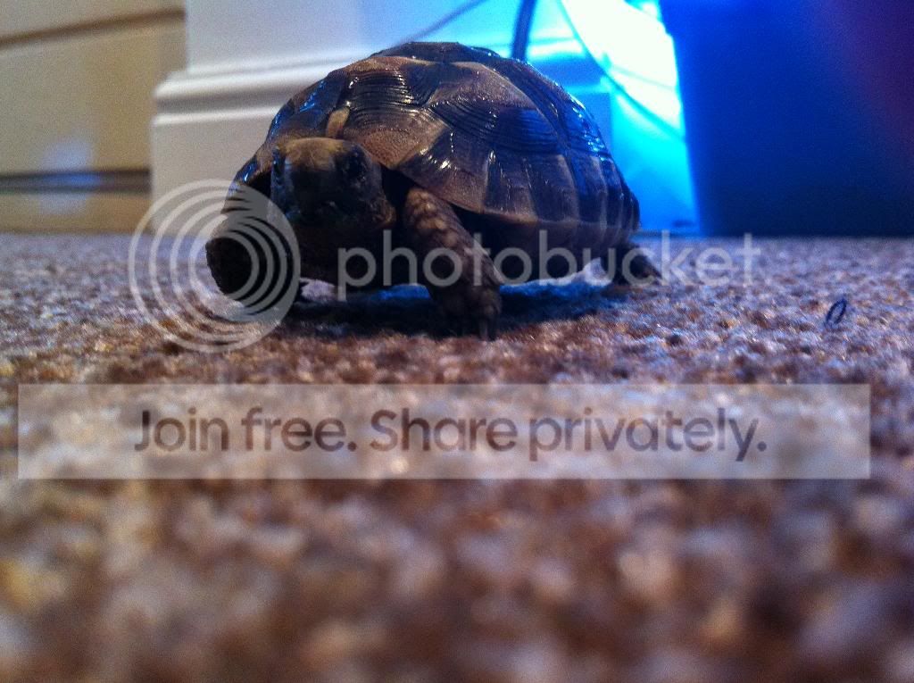 [Image: BE315325-80AE-415E-9057-6DE09ABACD8F.jpg]