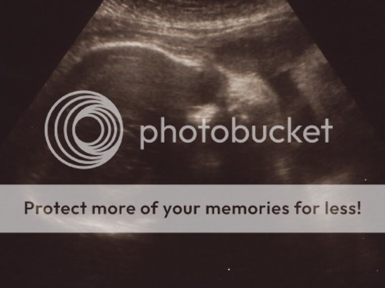 IMG-4.jpg picture by selmamar