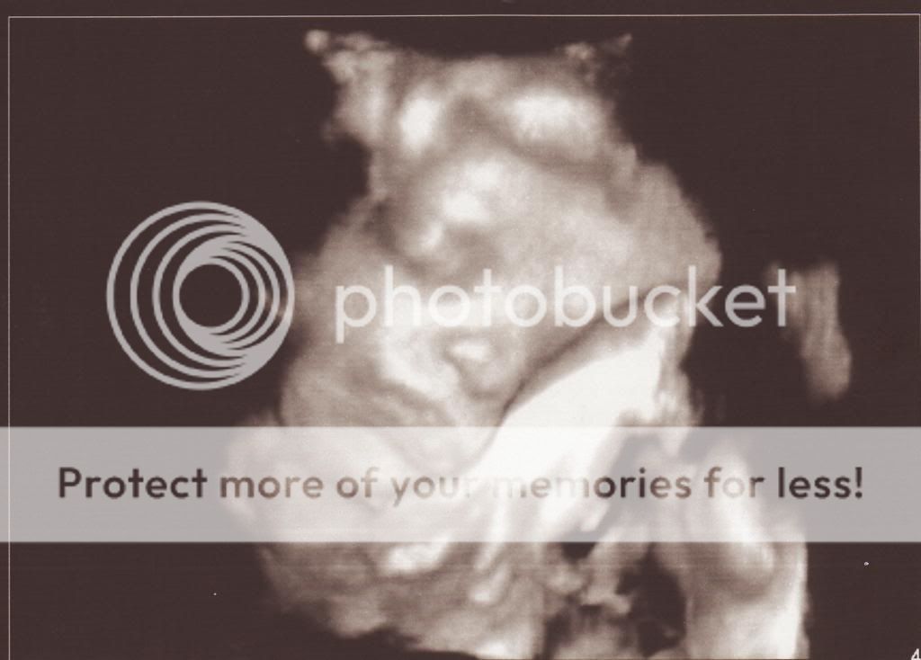  photo IMG-6_zps077b0fb2.jpg