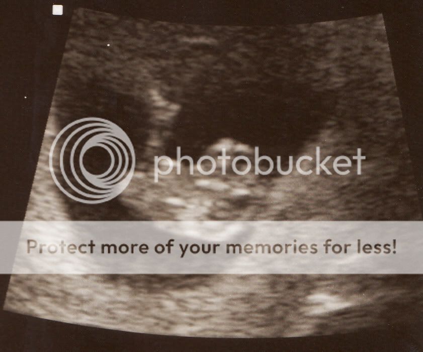 IMG_0002-1.jpg picture by selmamar