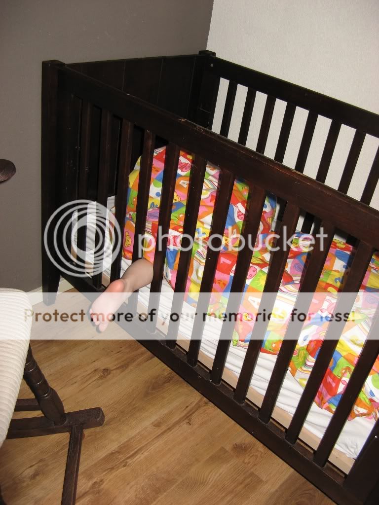 IMG_1382.jpg picture by selmamar