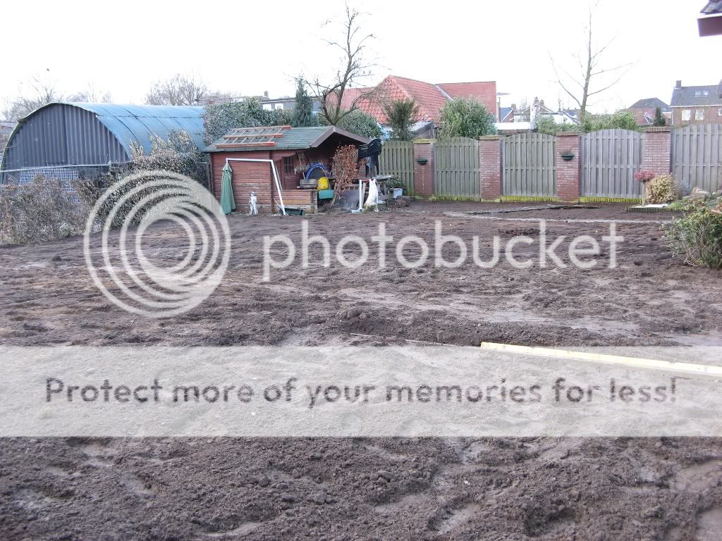 IMG_1554.jpg picture by selmamar