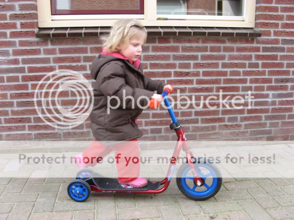 IMG_1716.jpg picture by selmamar