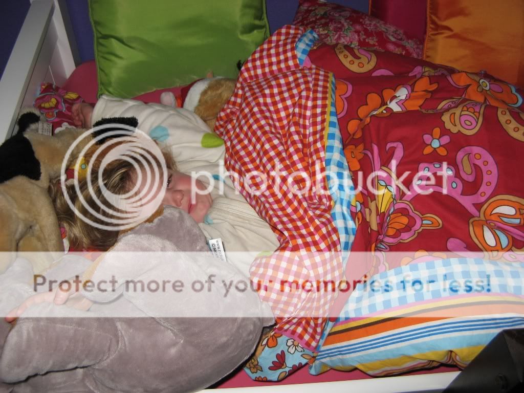 IMG_1845web-1.jpg picture by selmamar