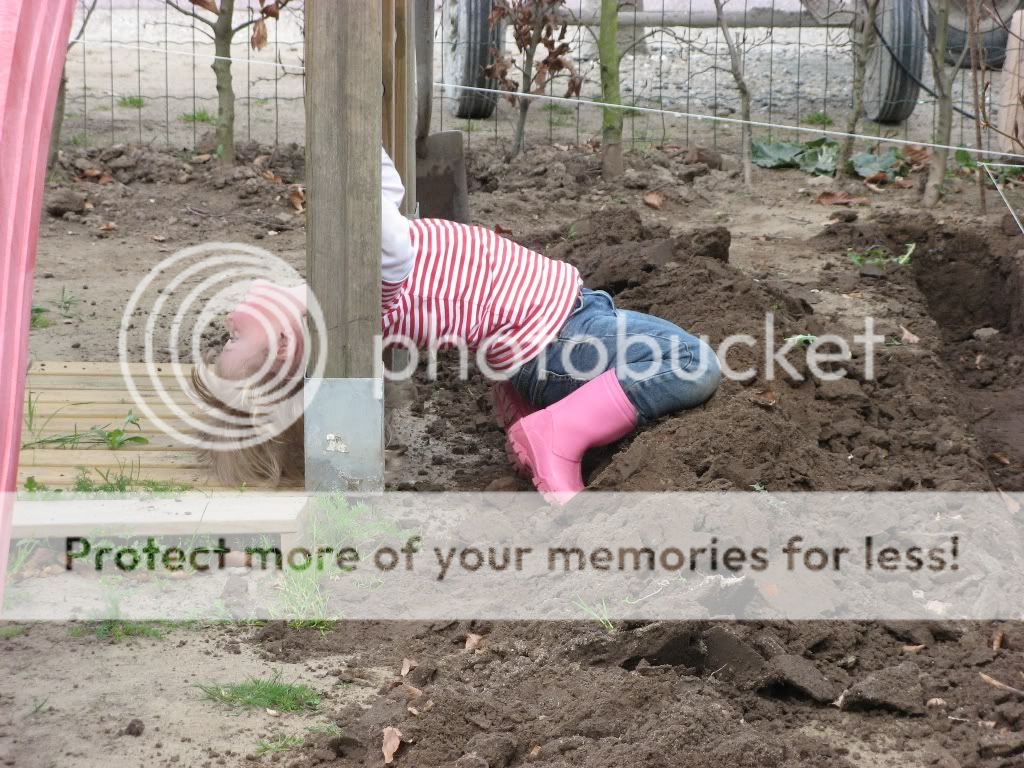 IMG_1973.jpg picture by selmamar