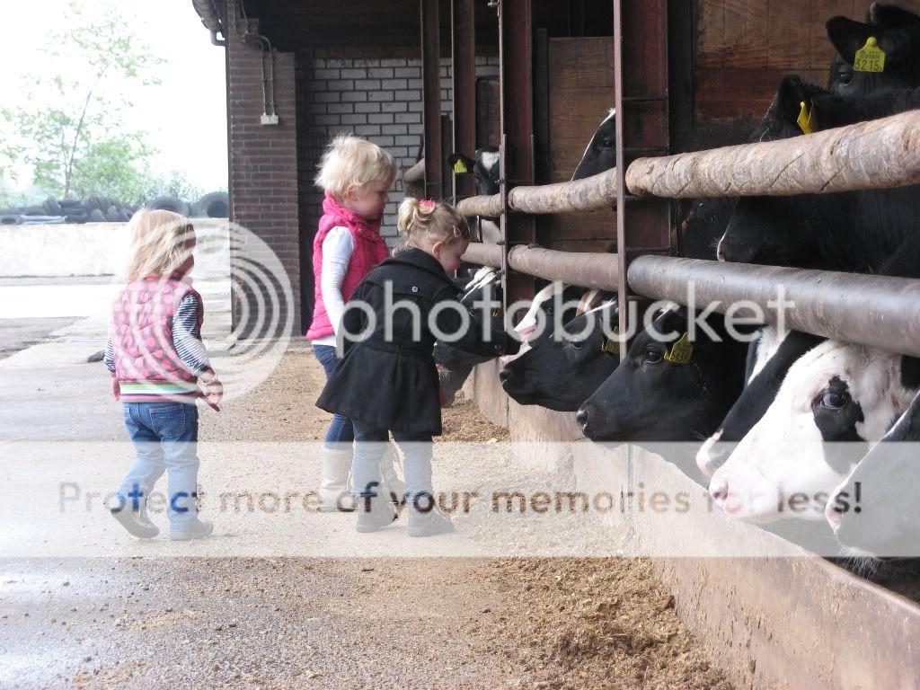 IMG_2043.jpg picture by selmamar