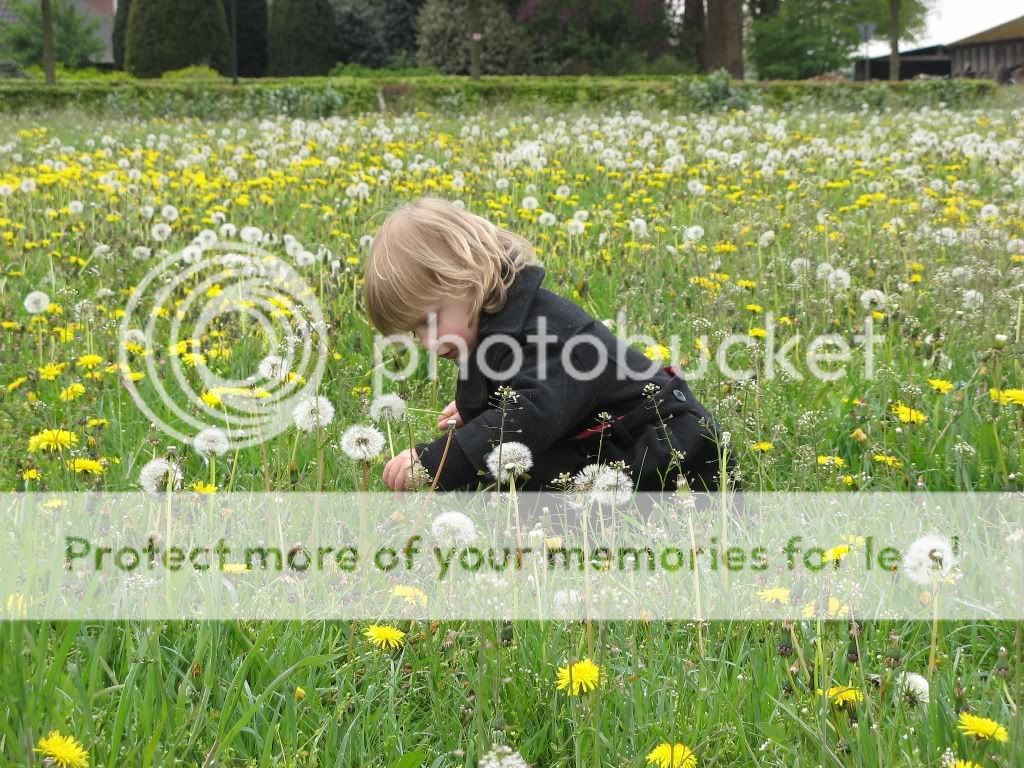 IMG_2057.jpg picture by selmamar