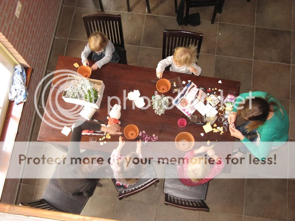 IMG_2071.jpg picture by selmamar