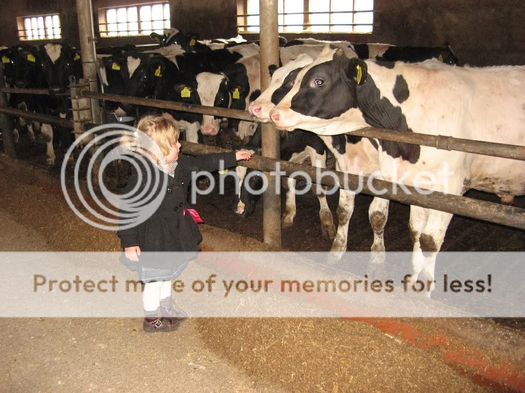 IMG_2090.jpg picture by selmamar