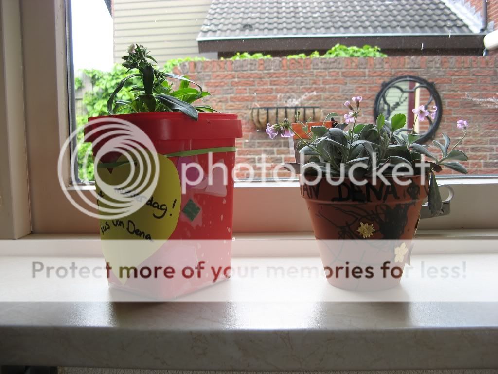 IMG_2108.jpg picture by selmamar