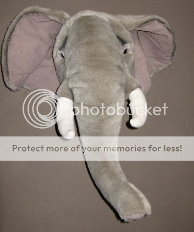 IMG_2114.jpg picture by selmamar