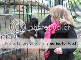 IMG_2152.jpg picture by selmamar