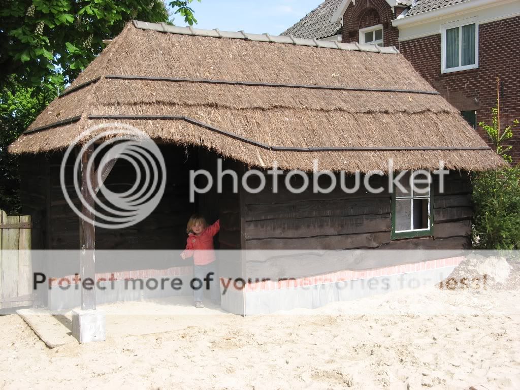 IMG_2212.jpg picture by selmamar