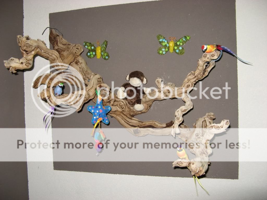 IMG_2246.jpg picture by selmamar