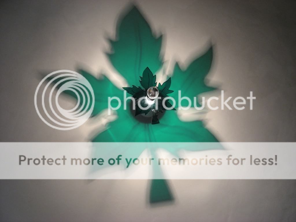 IMG_2249.jpg picture by selmamar