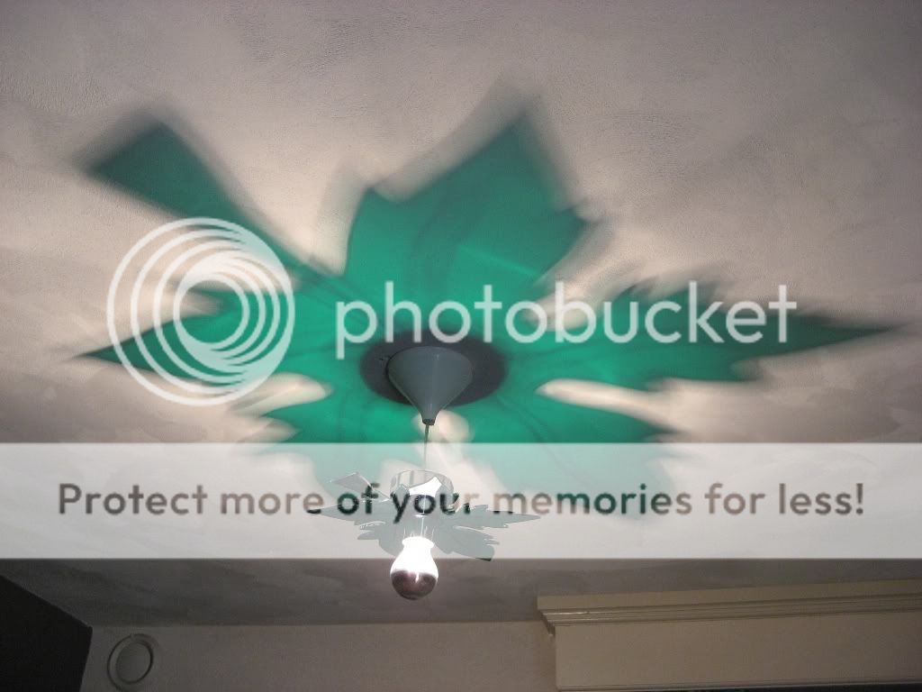 IMG_2265.jpg picture by selmamar