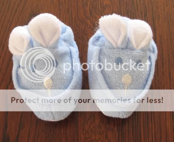 IMG_2275.jpg picture by selmamar