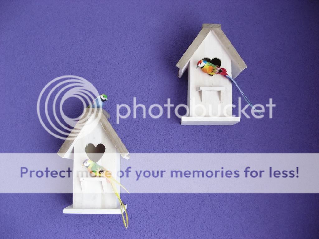 IMG_2370.jpg picture by selmamar