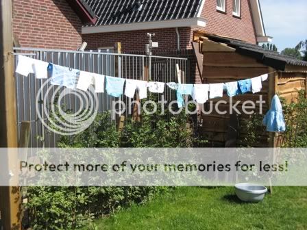 IMG_2525.jpg picture by selmamar