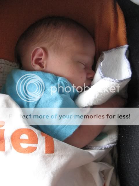 IMG_2816.jpg picture by selmamar