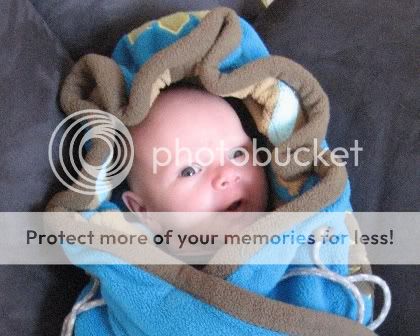 IMG_30991.jpg picture by selmamar