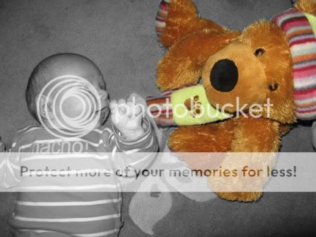 IMG_3376-1.jpg picture by selmamar