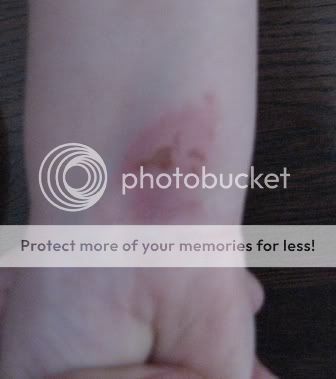 aIMG_2506.jpg picture by selmamar