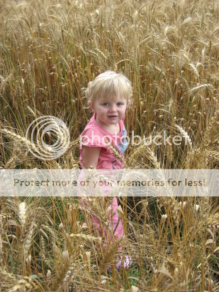 vakantiedrenthe2009063.jpg picture by selmamar