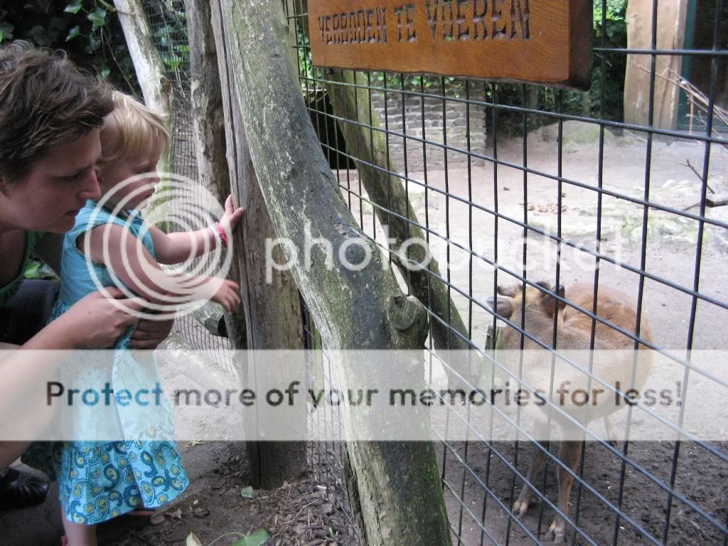 vakantiedrenthe2009264.jpg picture by selmamar