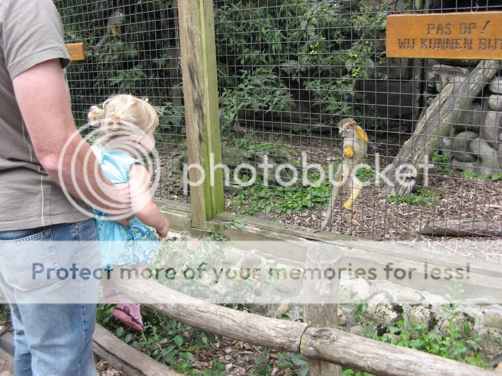 vakantiedrenthe2009276.jpg picture by selmamar