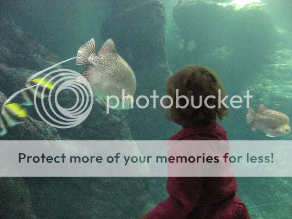 vakantiedrenthe2009299.jpg picture by selmamar