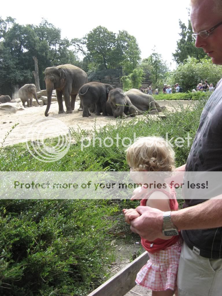 vakantiedrenthe2009300.jpg picture by selmamar