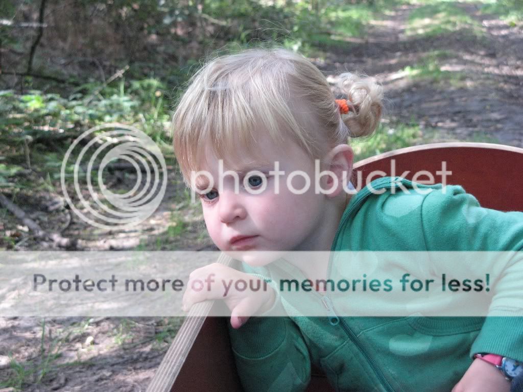 vakantiedrenthe2009316.jpg picture by selmamar