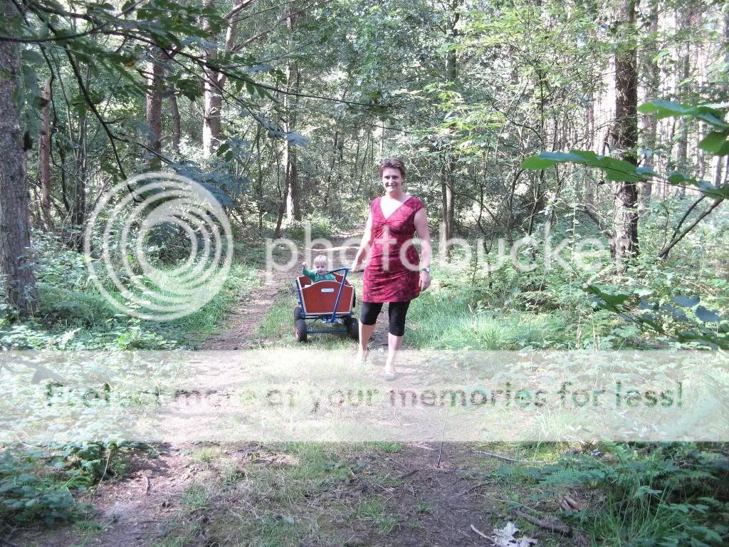 vakantiedrenthe2009317.jpg picture by selmamar