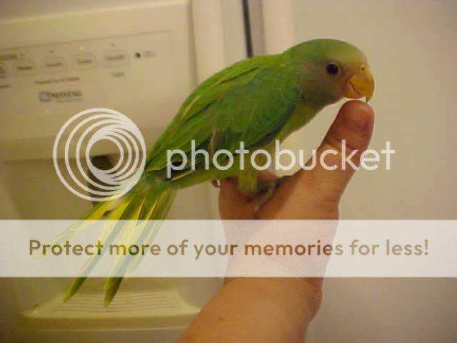 Posted Image