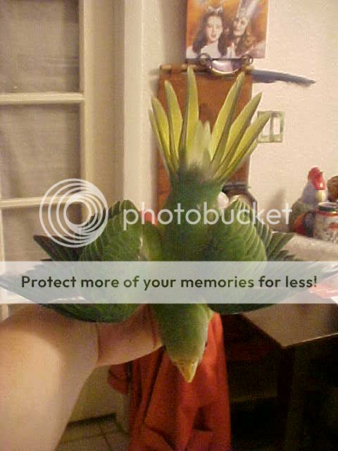 Posted Image