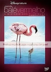 Resumo: Download grátis do Filme Grande Balé Vermelho: O Mistério dos Flamingos - RMVB Dublado - BAIXAR - LANÇAMENTO