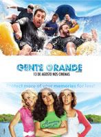 Resumo: Download grátis do filme Gente Grande (Grown Ups) - Legendado - RMVB -AVI - HDTV - BAIXAR - LANÇAMENTO
