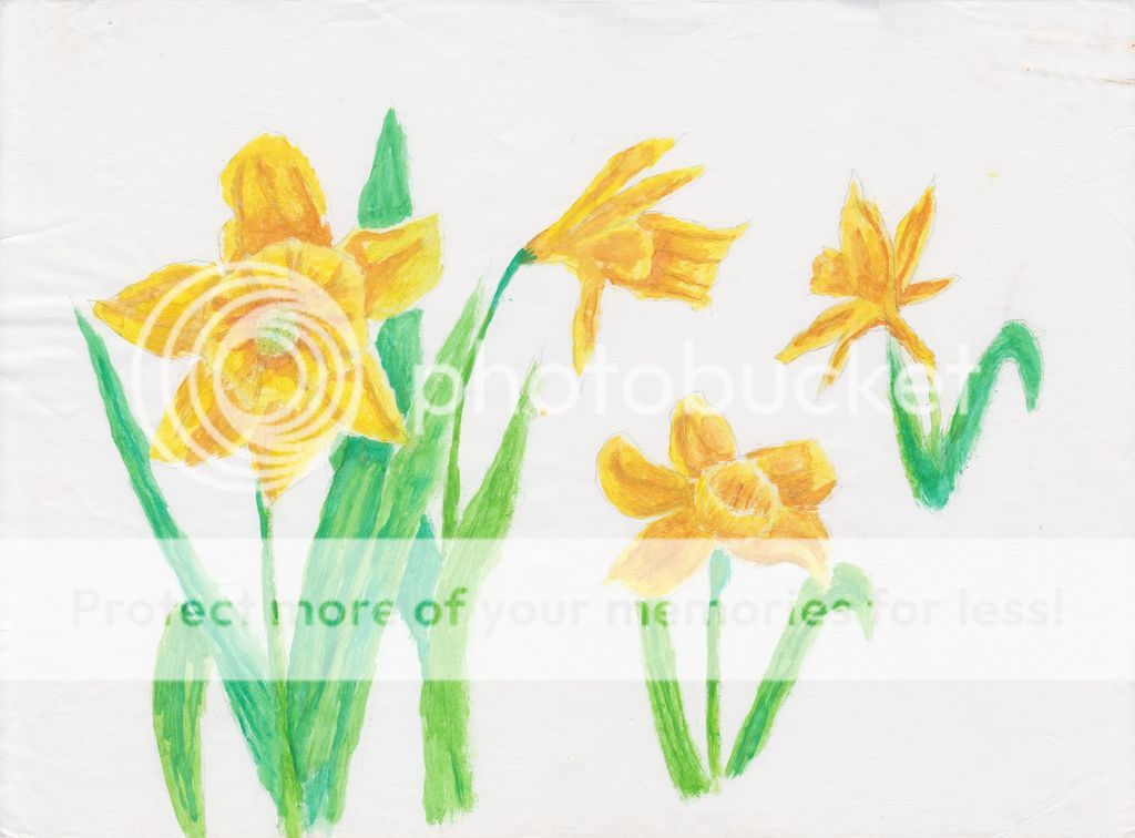 photo daffodils_j.jpg
