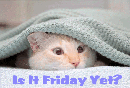 is it friday yet?