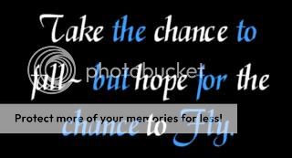 take the chance to fall but hope for the chance to fly