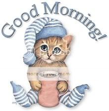 good morning cat with coffee