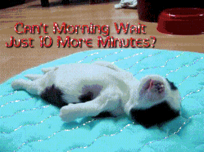 can't morning wait just ten more minutes?