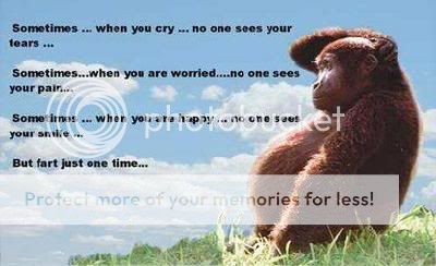 fart quotes