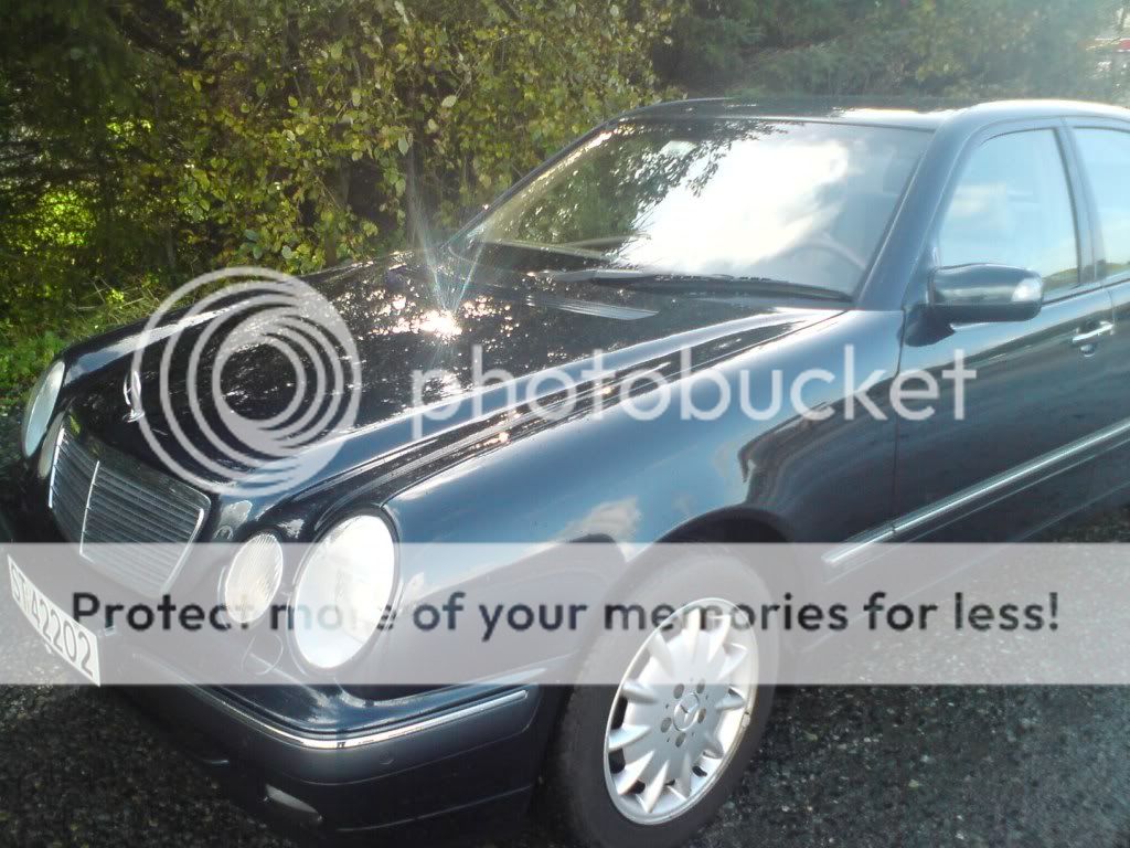 DSC00105.jpg?t=1255643152