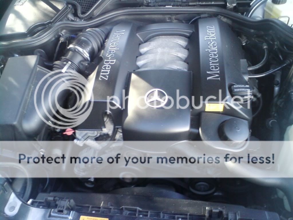 DSC00109.jpg?t=1255643353